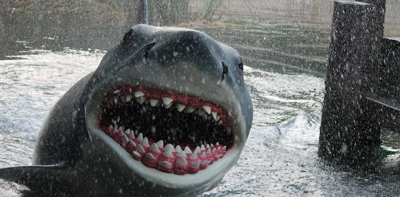 The Real Threat to Sharks: Why Ocean Predators Need Our Help